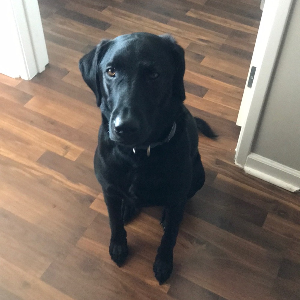 Please buy my moms shoes so we can move!